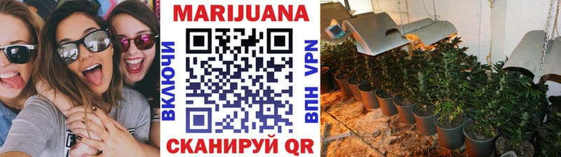 Шишки марихуана марихуана  цена   Кондрово 